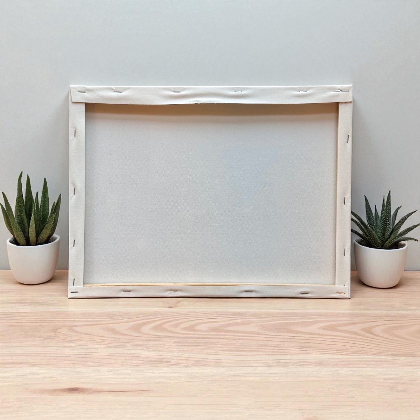 Back side of a stretched photo canvas frame with white fabric and visible staples, displayed on a light wood surface with two small potted succulent plants on each side.