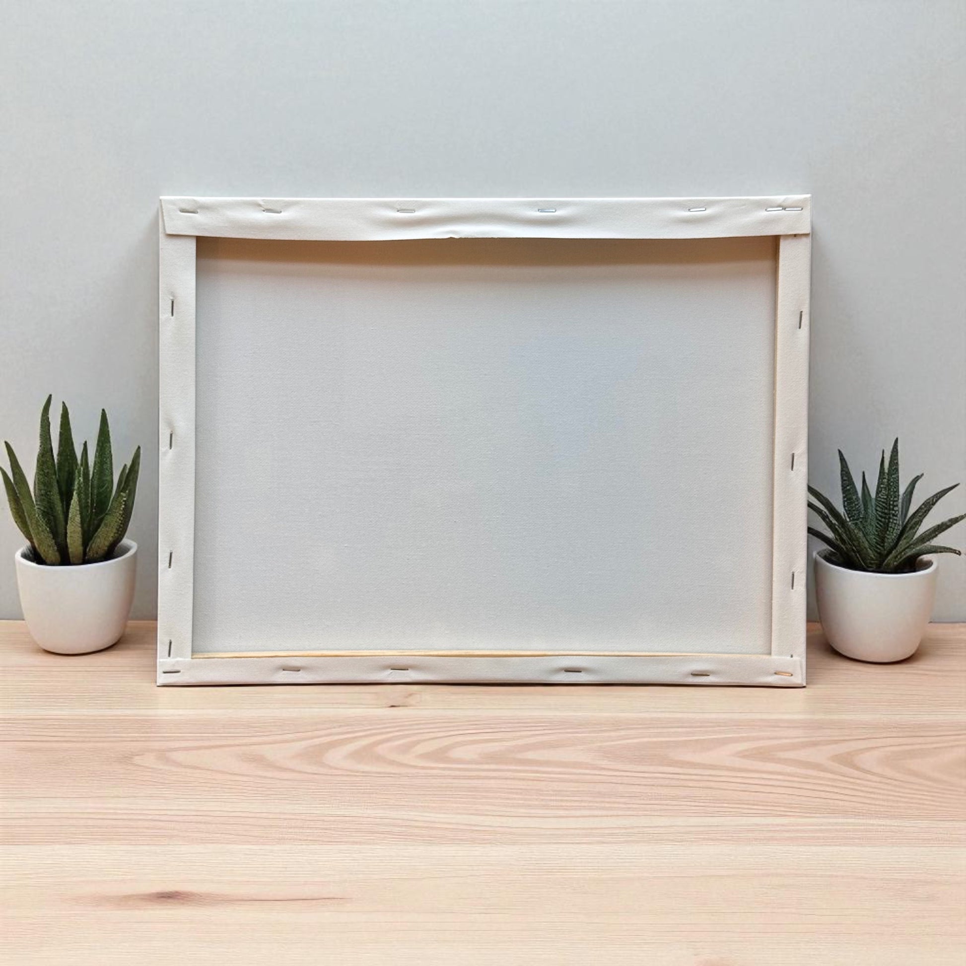 Back side of a stretched photo canvas frame with white fabric and visible staples, displayed on a light wood surface with two small potted succulent plants on each side.