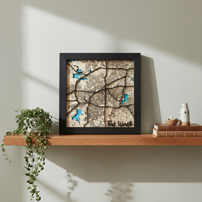 Fort Worth wood map wall art displayed on shelf with plant and books modern Texas home decor gift idea