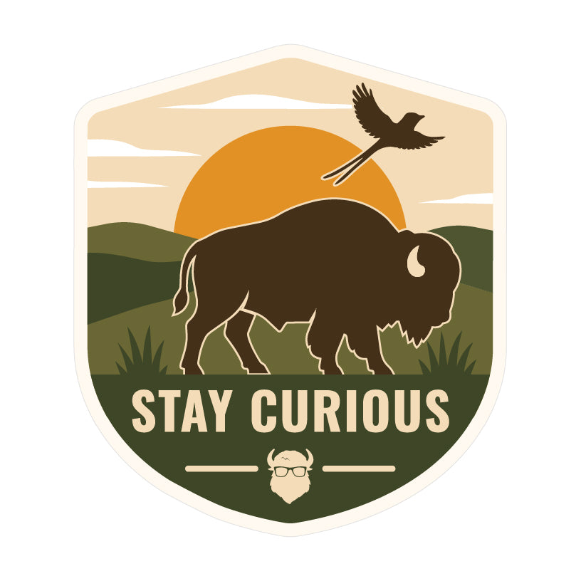 Front view of shield-shaped Oklahoma vinyl sticker featuring a brown bison, flying scissortail, green prairie hills, orange sunset, and Stay Curious message