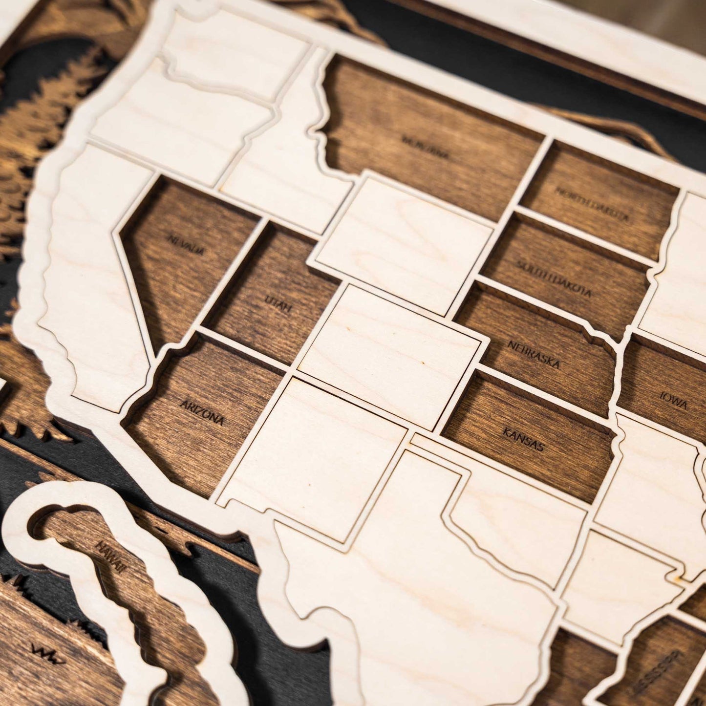 Close up of removable wooden USA state pieces with engraved state names inside the travel map